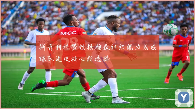 斯普利特赞扬杨瀚森组织能力或成球队进攻核心新选择
