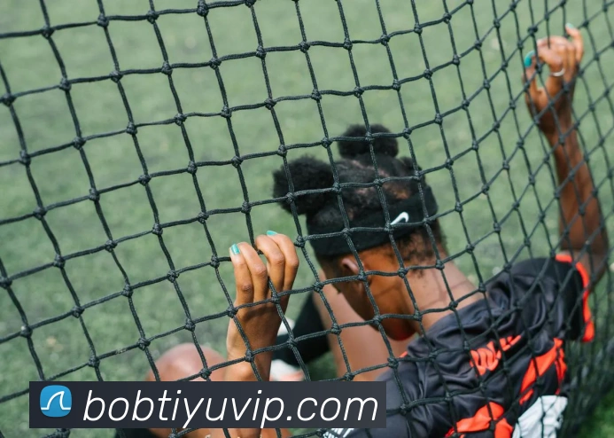 BOB体育平台生态图